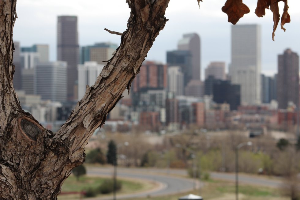 Denver's Top 5 Property Management Companies